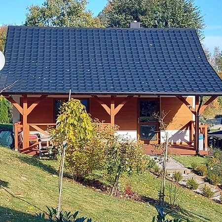 Zielony Zakatek Sosnowka Εξωτερικό φωτογραφία